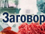 Теория заговора - ГОСТы