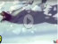 Мобильный репортер - Эфир от 20.02.2015